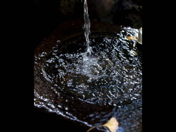 寅さんが産湯に使った御神水。元は樹齢500年ともいわれる瑞龍松の下で湧き出ていた。